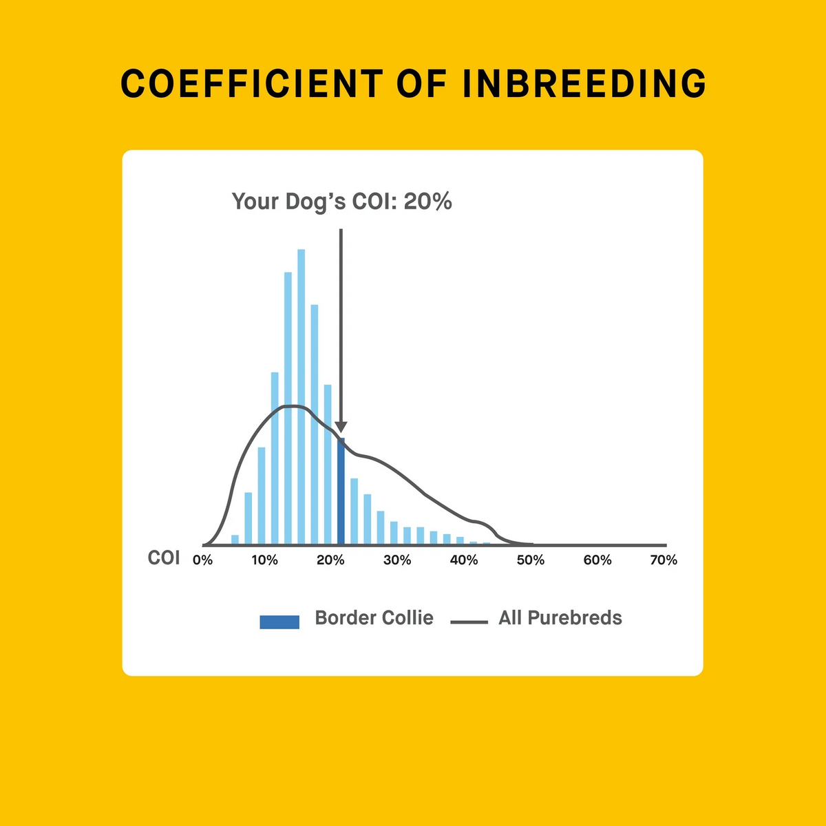 Breeder Dog DNA Test Kit
