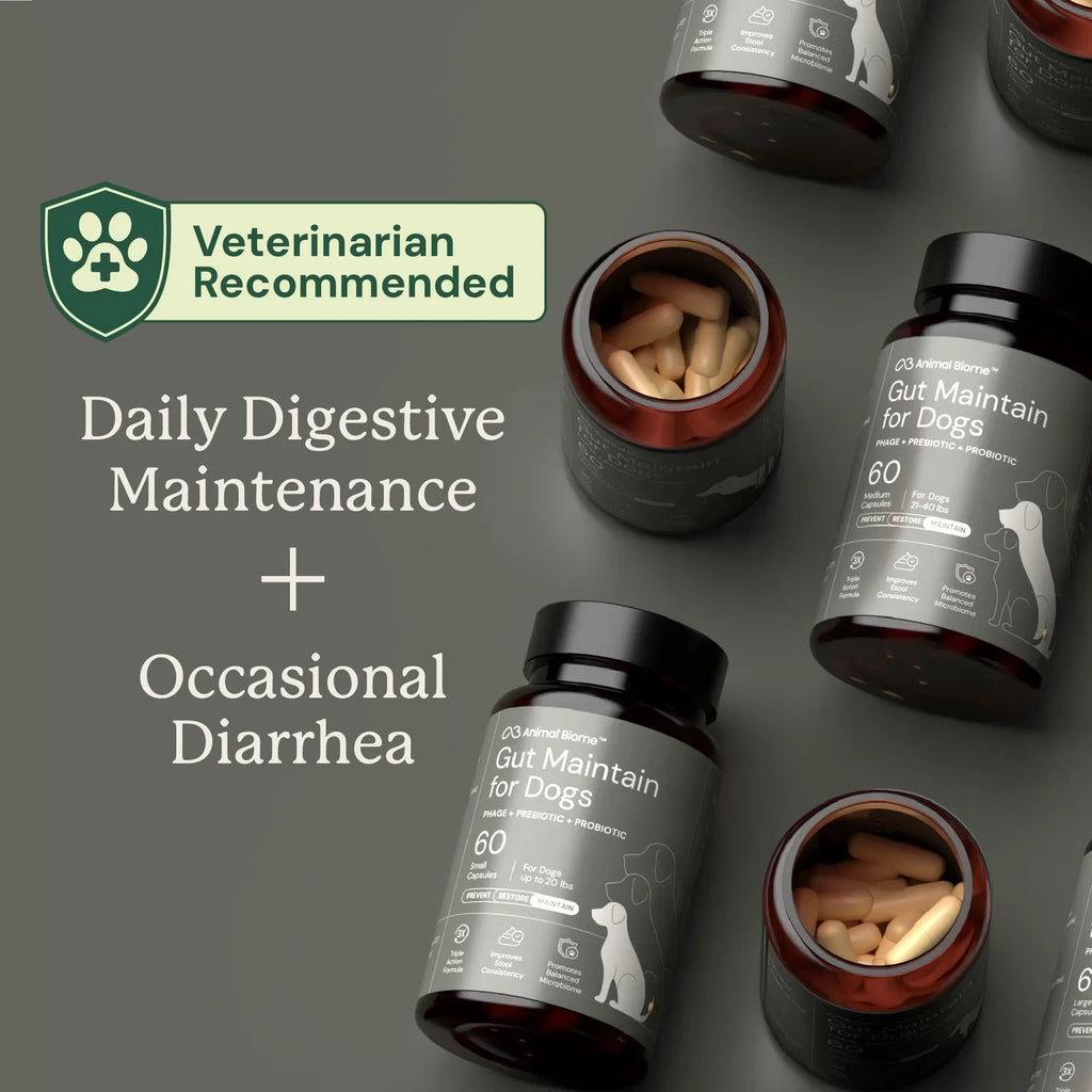 Dog Digestive Support Supplement - Small Dogs