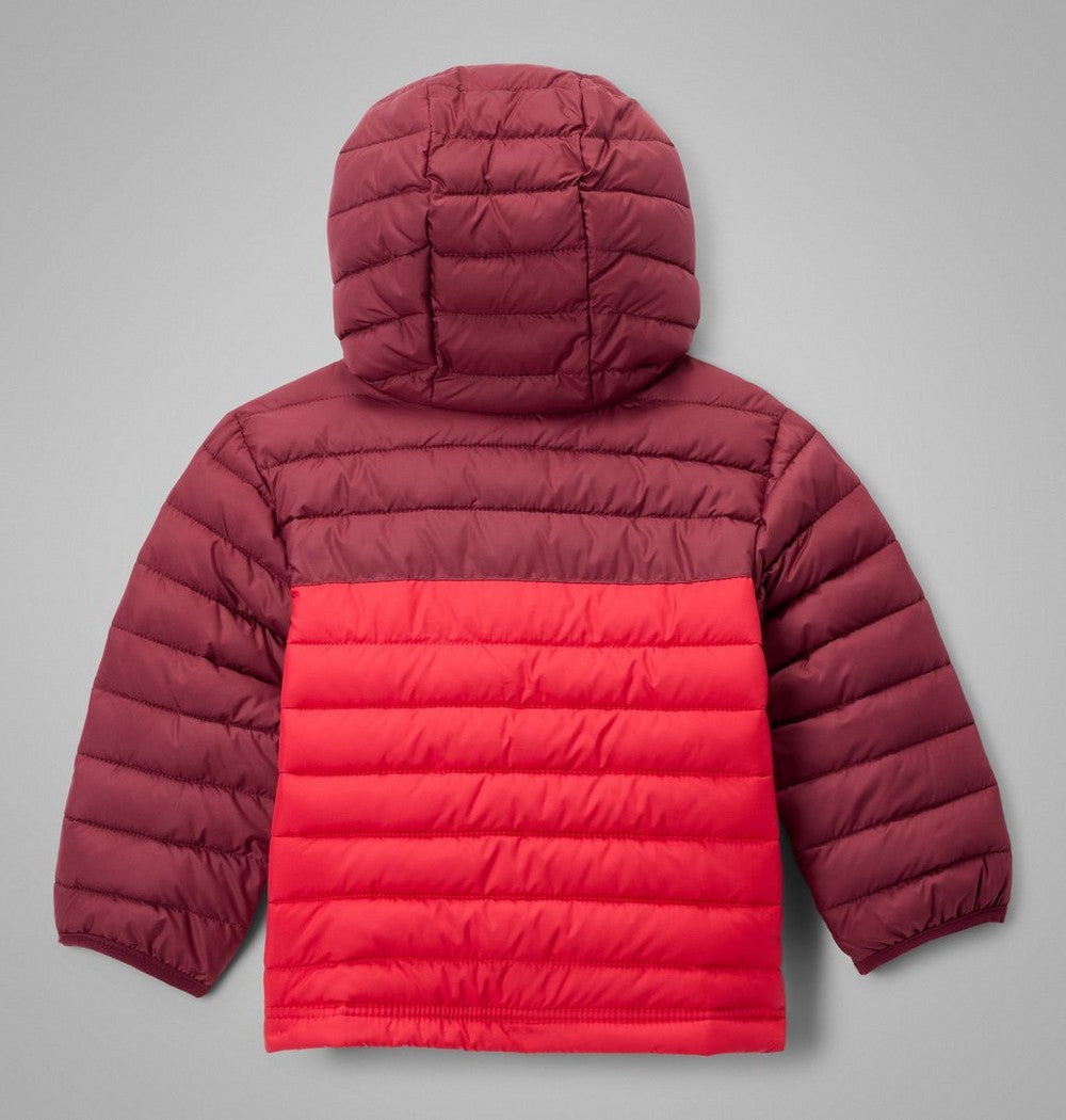Toddler Boys' Hooded Insulated Puffer Jacket - Blue