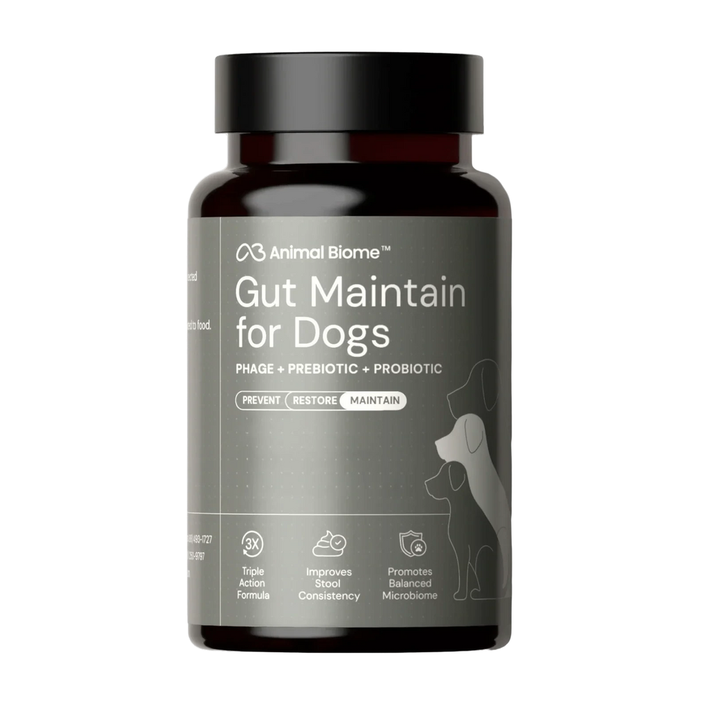 Dog Digestive Support Supplement - Small Dogs