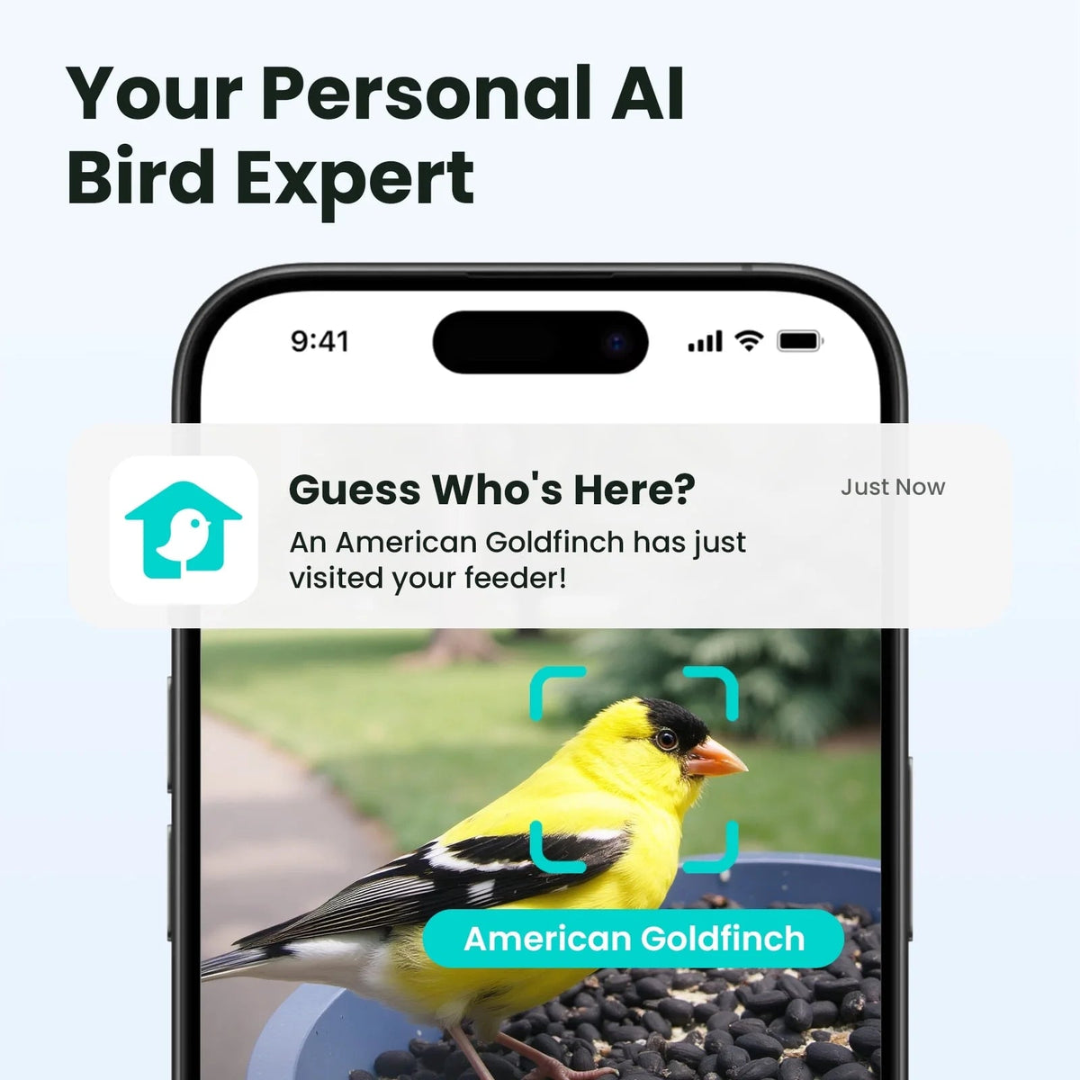 Birdfy Smart Bird Feeder With Camera, 1080P HD Video, 60FPS - Rookie