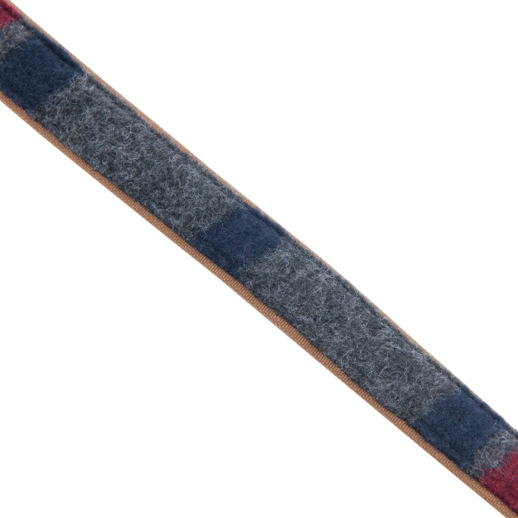 Nylon Dog Leash With Fleece Stripe