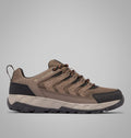 Men's Low Hiking Shoes - Brown