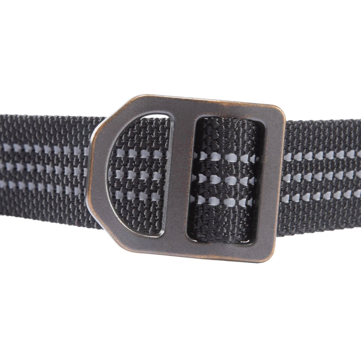 Shock-Absorbing Dog Leash - Black