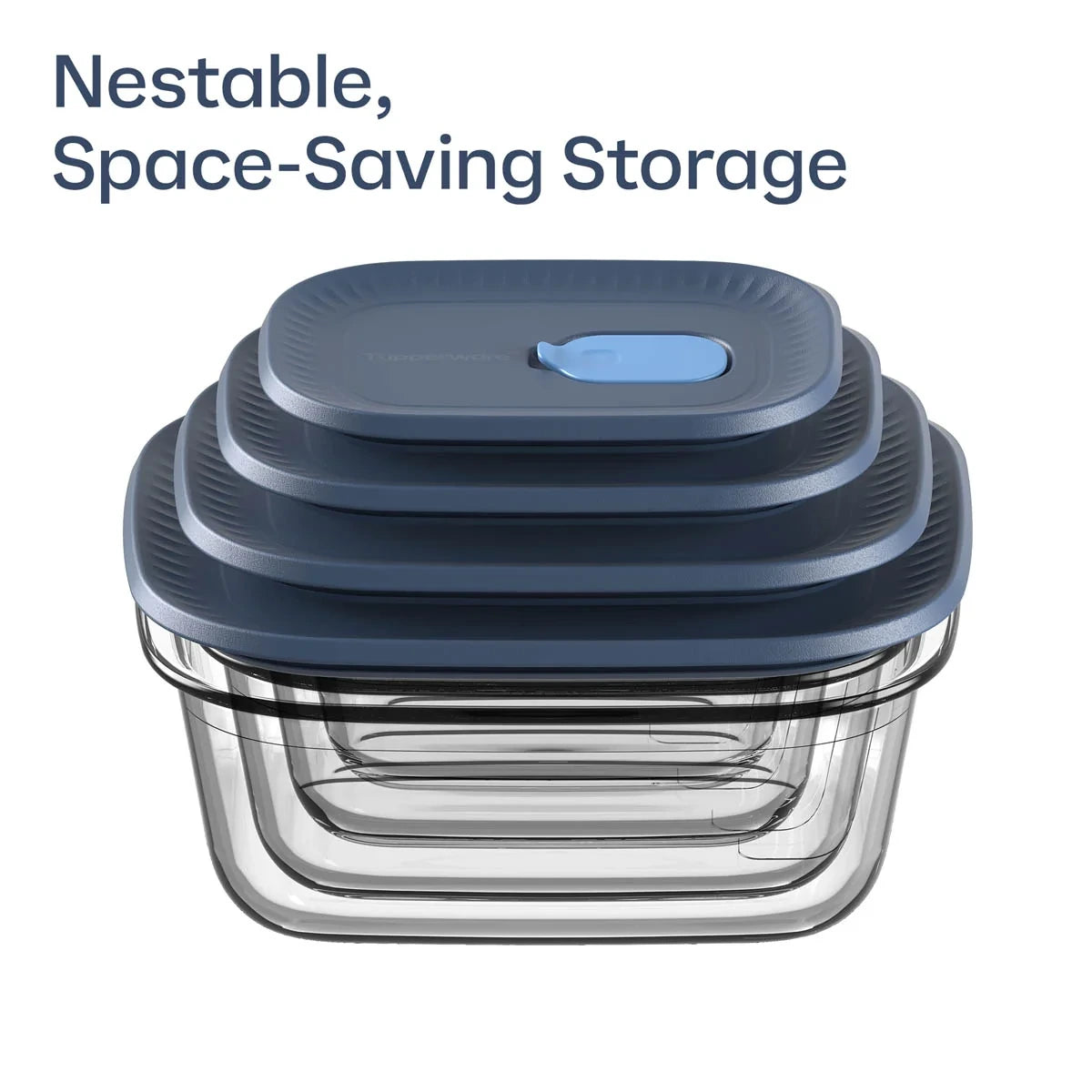 Large Rectangular Glass Food Storage Container