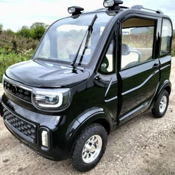 2022 Electric Golf Cart, 4 Seater, Air Conditioning And Heating - Low-Speed Vehicle