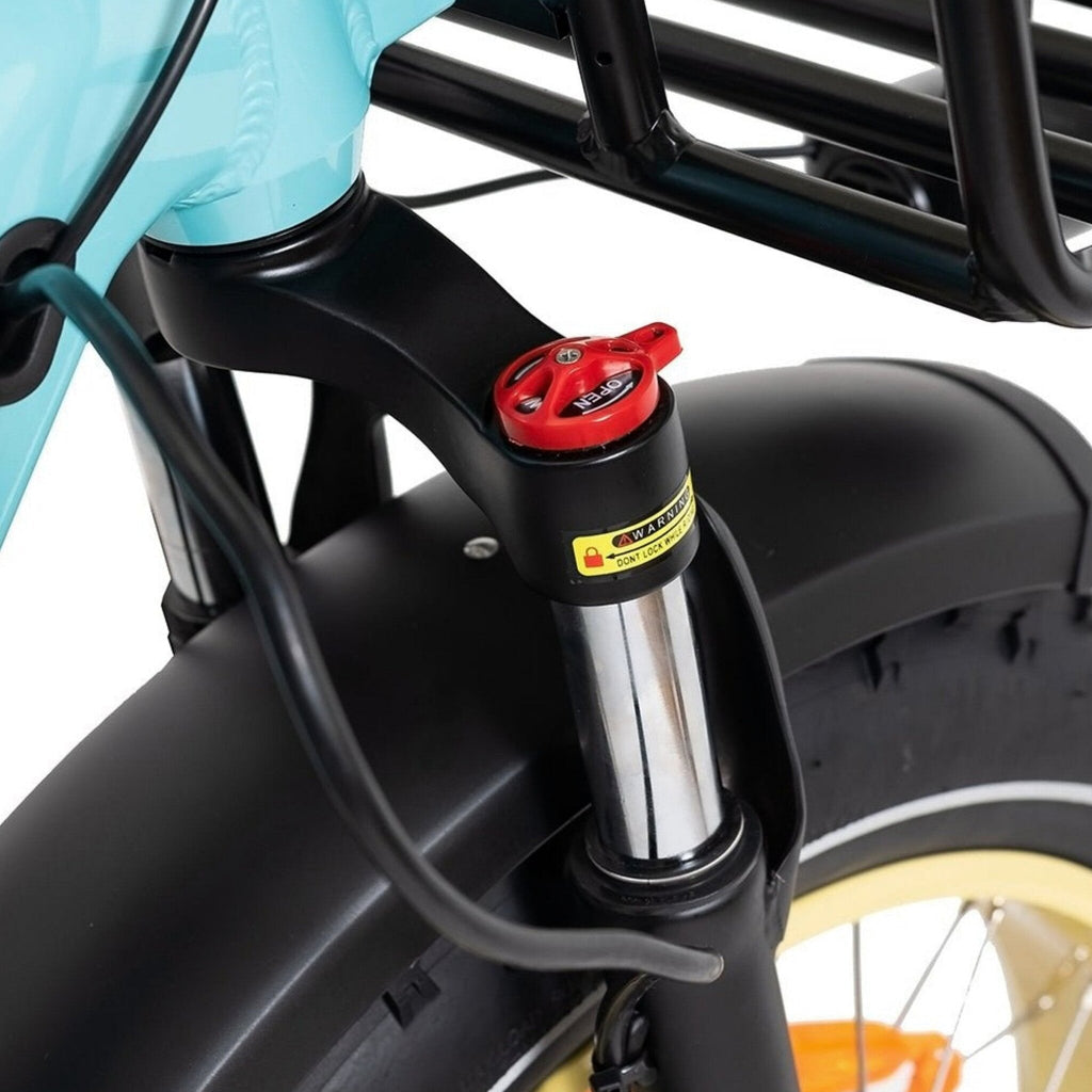 DWMEIGI Silverado 20 Foldable Fat Tire Electric Trike 48V/14AH 750W, 330LBS - MG2301