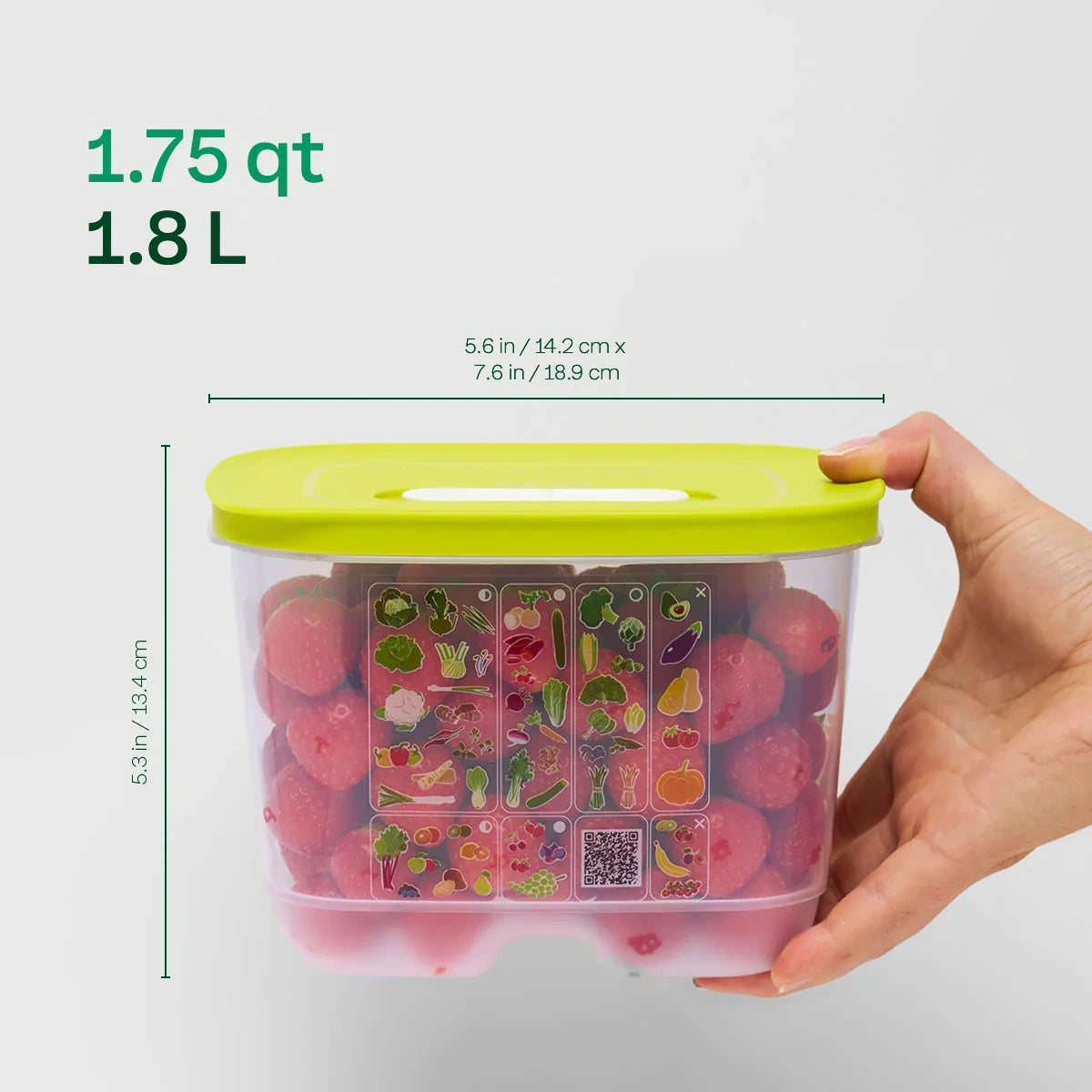 Small Deep Produce Storage Container - Celery