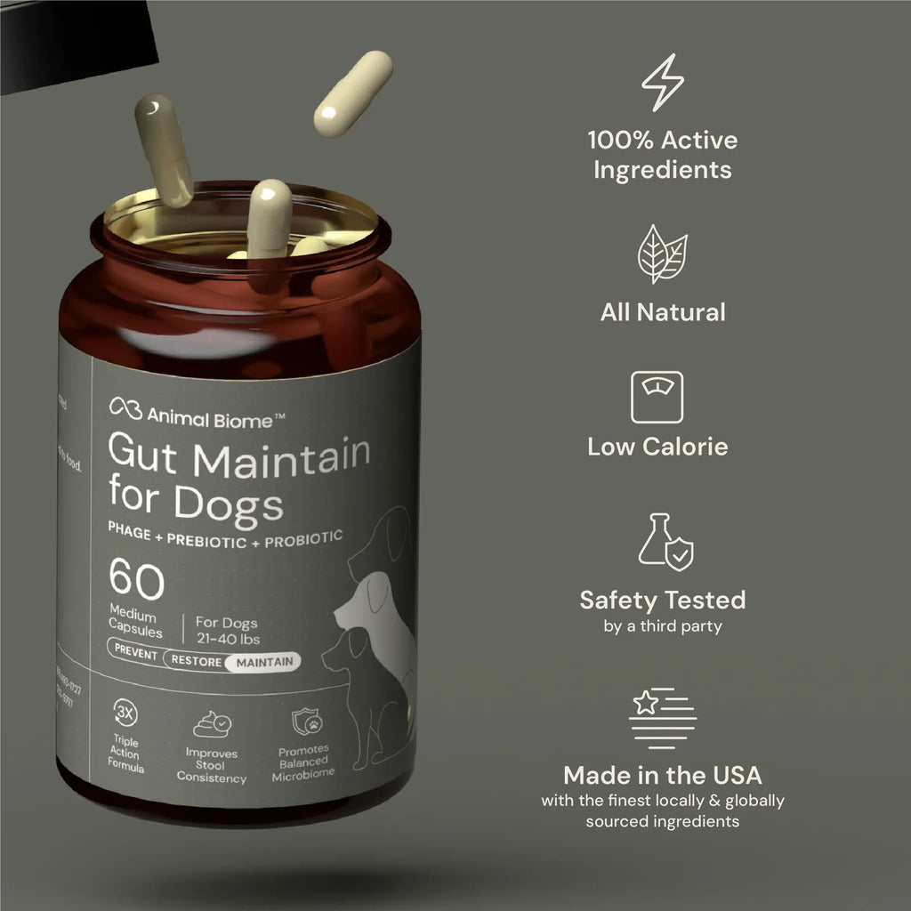 Dog Digestive Support Supplement - Small Dogs