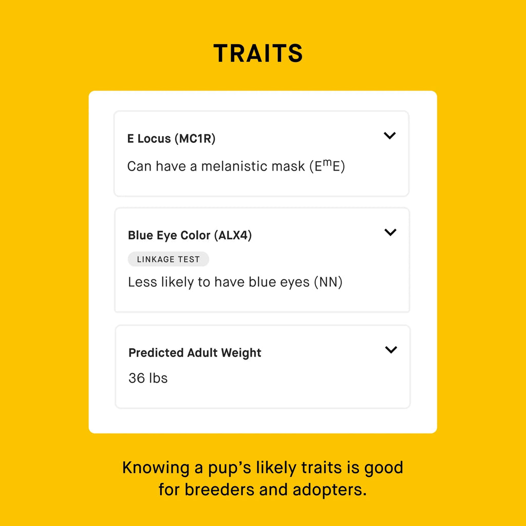 Breeder Dog DNA Test Kit