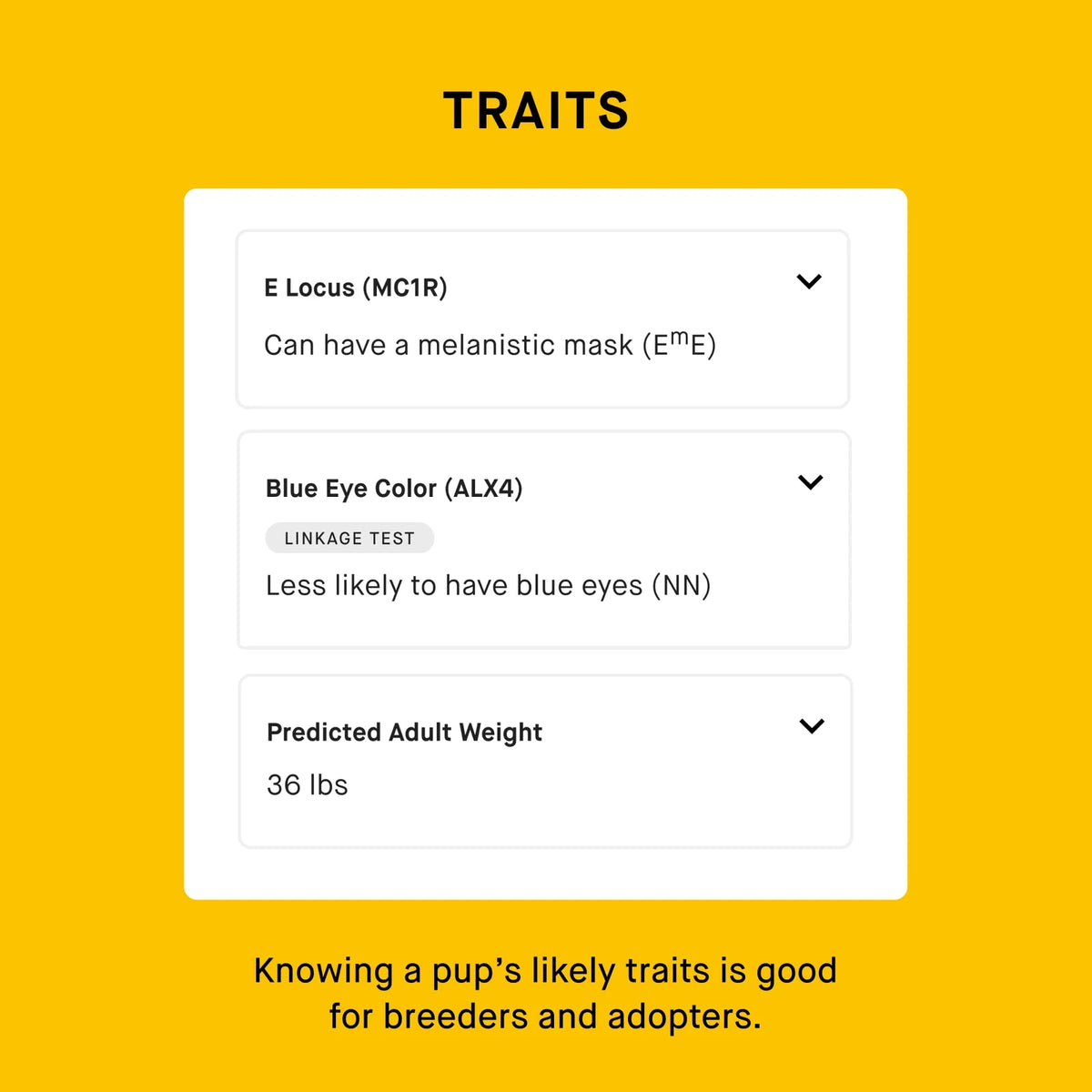 Breeder Dog DNA Test Kit