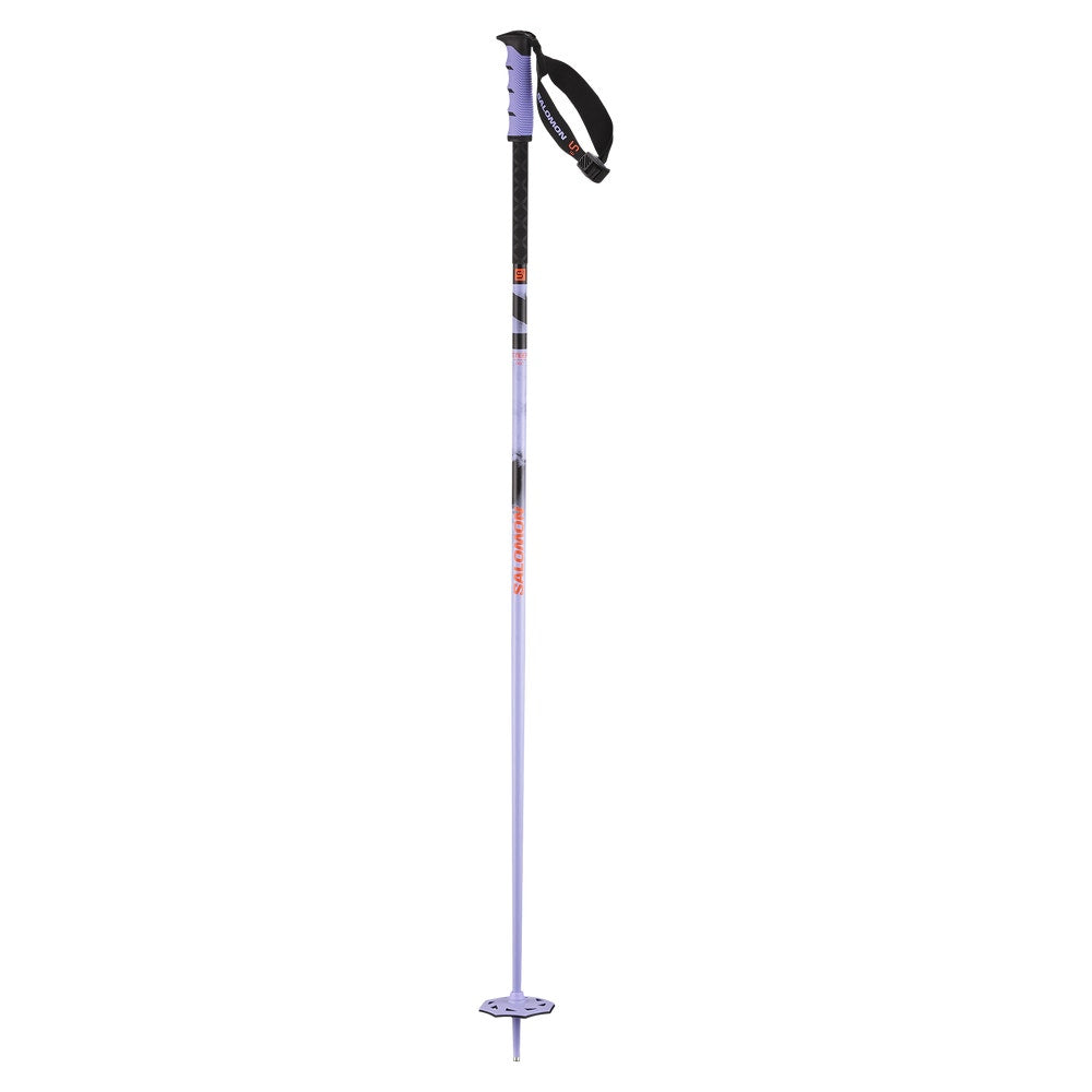 Fixed-Length Aluminum Ski Poles
