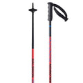 Junior Fixed-Length Alpine Ski Poles