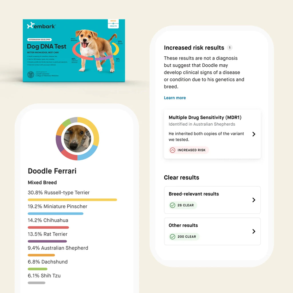 Dog Breed Health And Age DNA Test Bundle