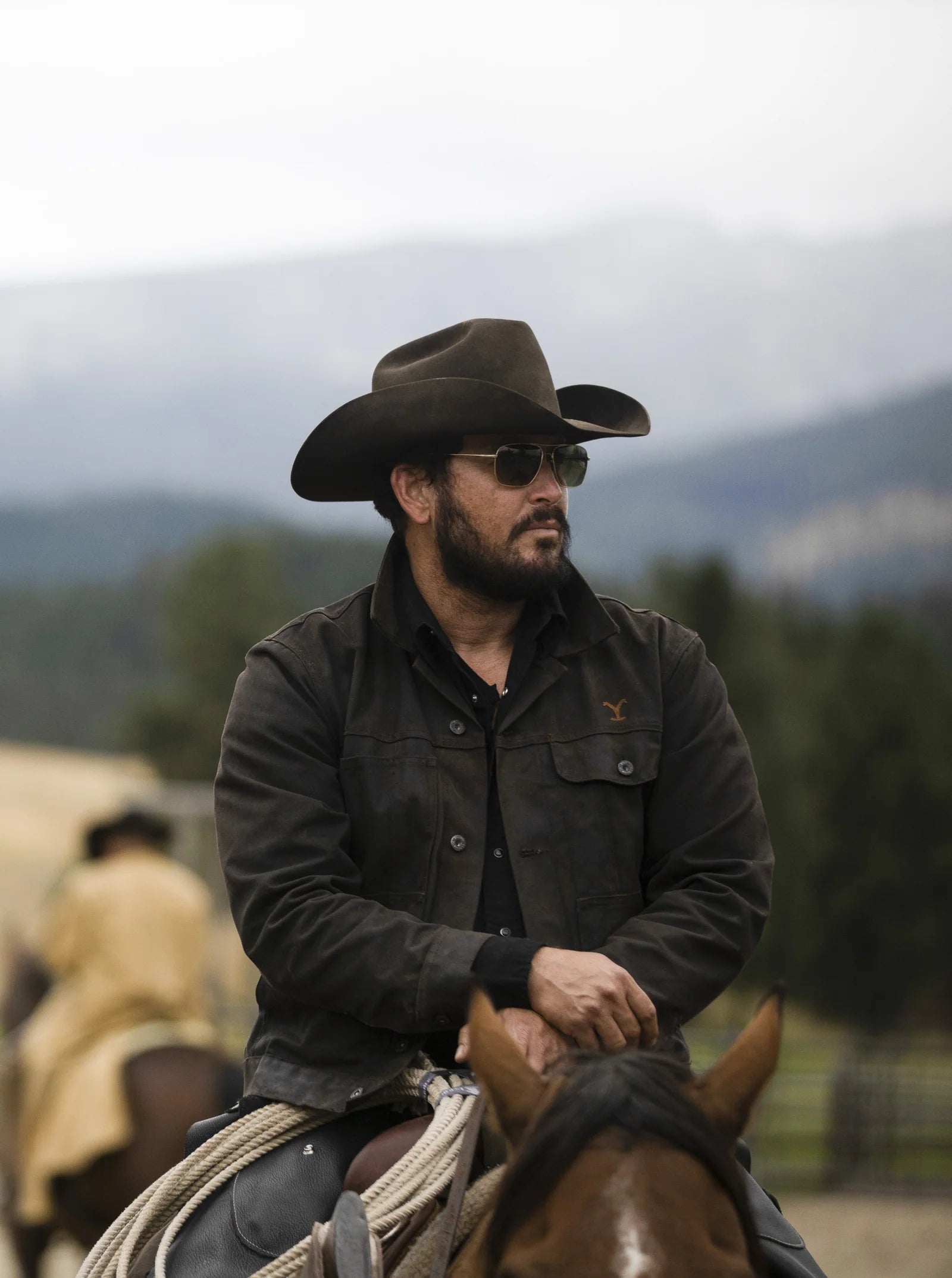 Rip's Cattleman Crown Distressed Brown Cowboy Hat