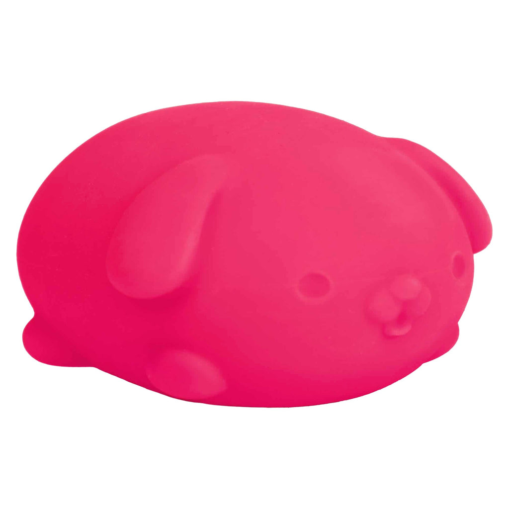 Neon Puppy Squeeze Toy