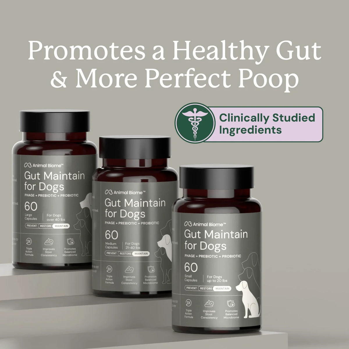 Dog Digestive Support Supplement - Small Dogs