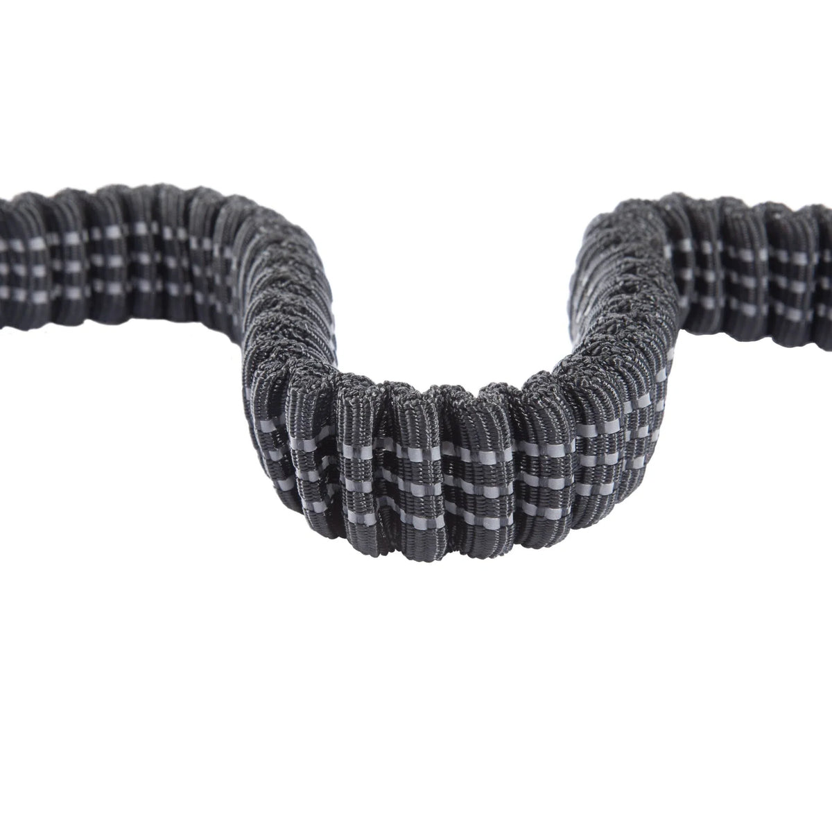 Shock-Absorbing Dog Leash - Black