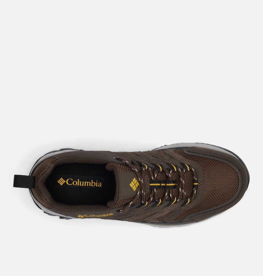 Men's Low Hiking Shoes - Brown