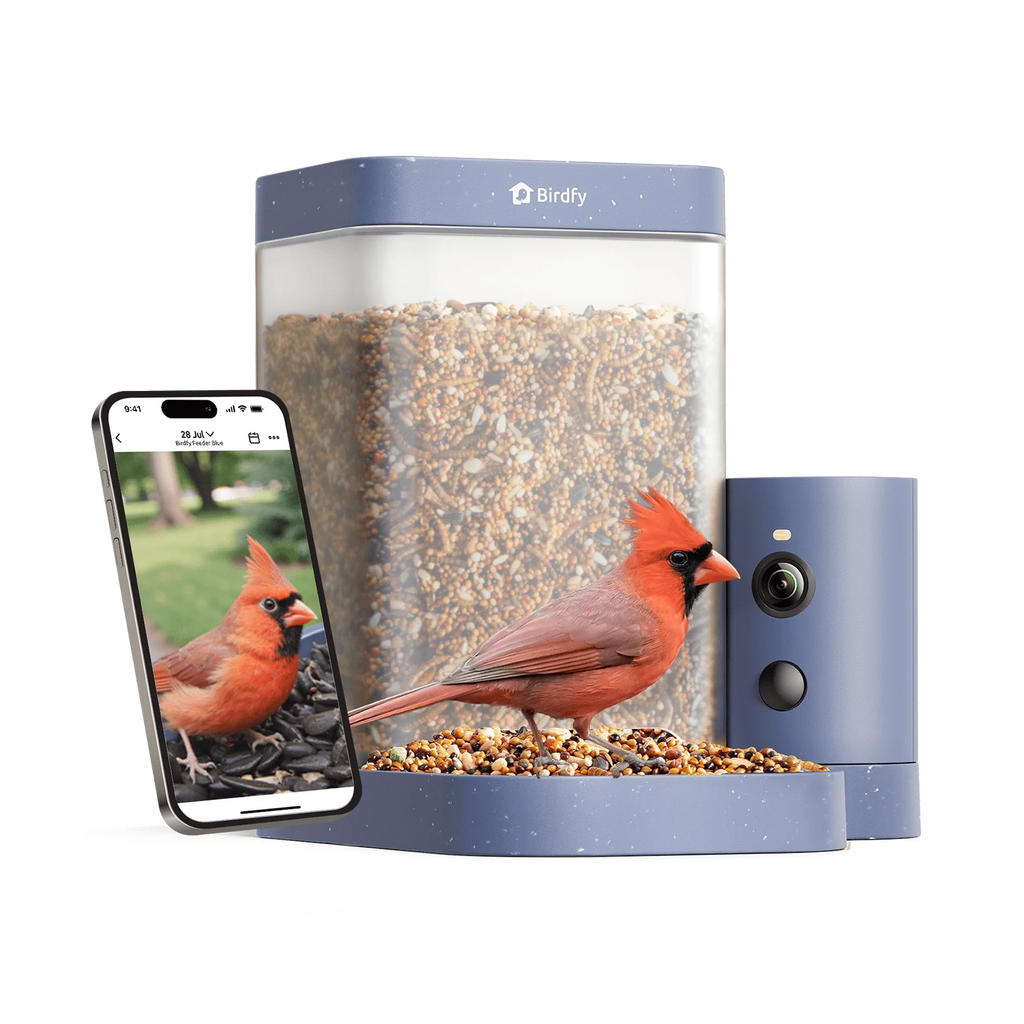 Birdfy Smart Bird Feeder With Camera, 1080P HD Video, 60FPS - Rookie