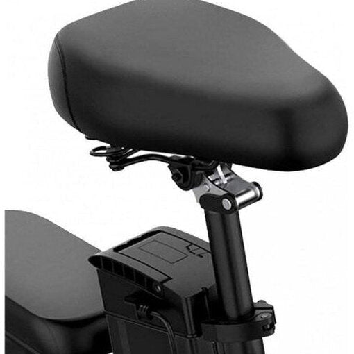 Folding Electric Bike 250W, 14 Inch, LCD Display, Removable Battery, Dual Disc Brake, Black