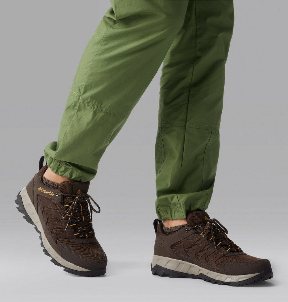 Men's Waterproof Low Hiking Shoe - Tan