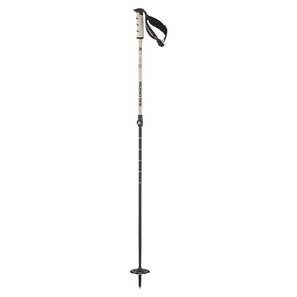 Adjustable Alpine Ski Poles - Gray