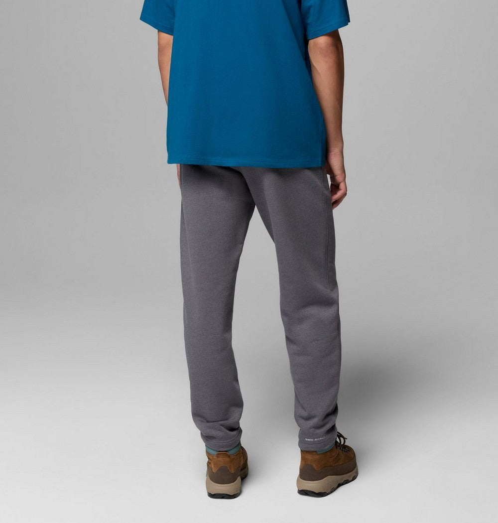 Men's Heavyweight Fleece Sweatpants - Gray