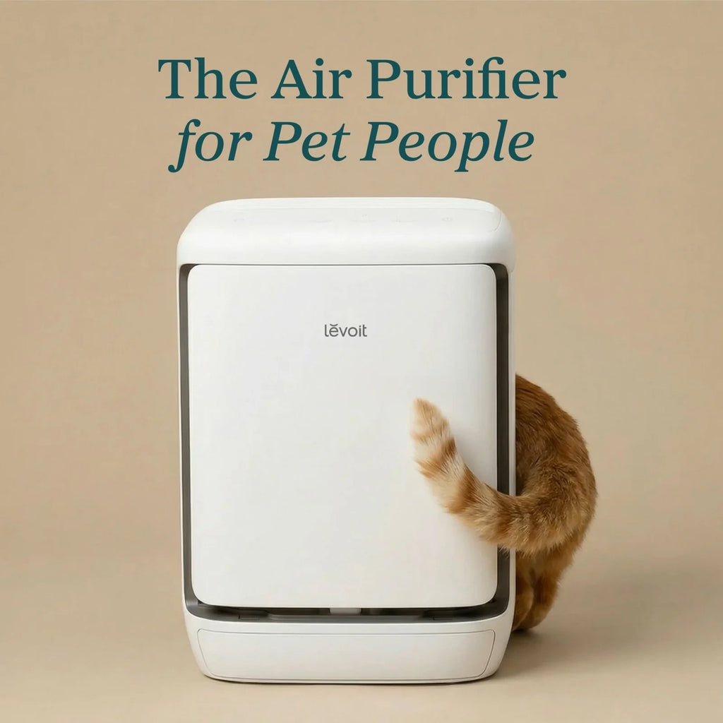 Pet Air Purifier With Self-Cleaning Pre-Filter