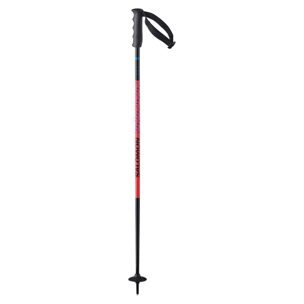 Junior Fixed-Length Alpine Ski Poles