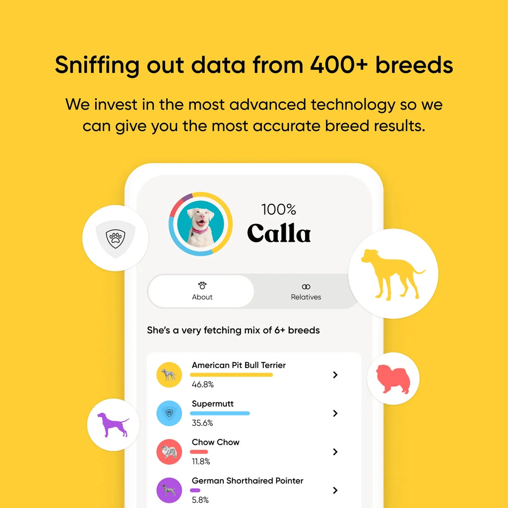 Dog Breed Ancestry DNA Test Kit
