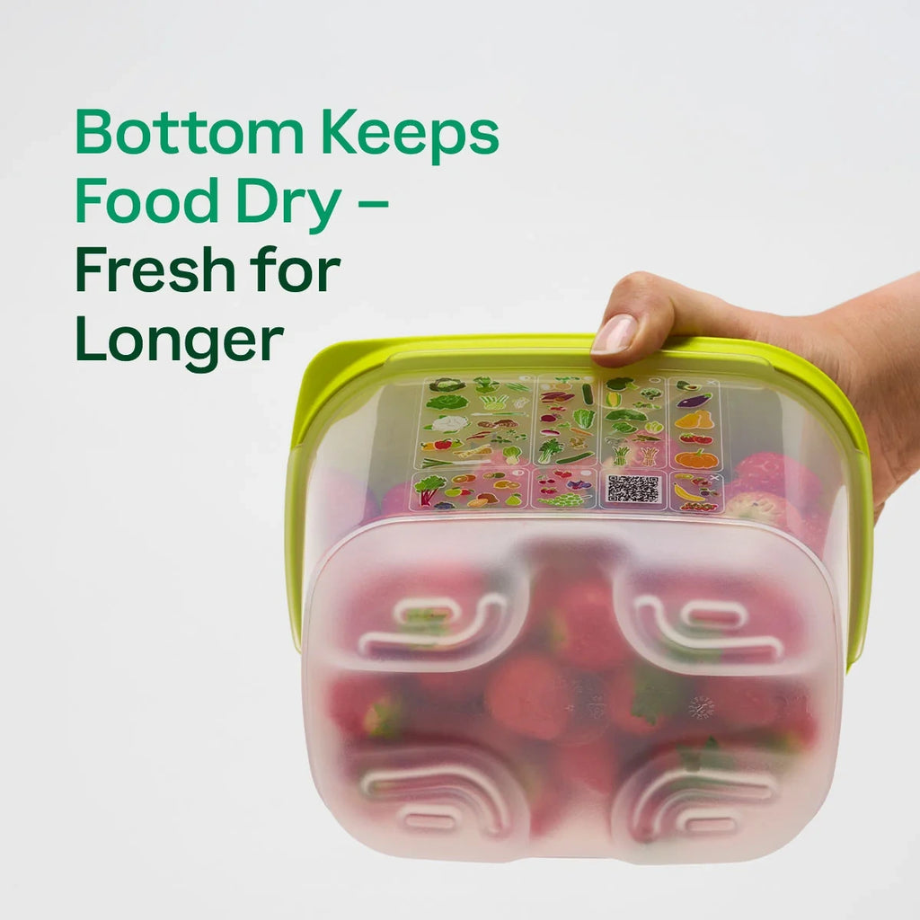 Small Deep Produce Storage Container - Celery
