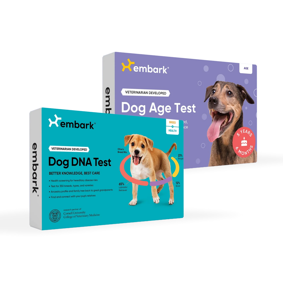 Dog Breed Health And Age DNA Test Bundle