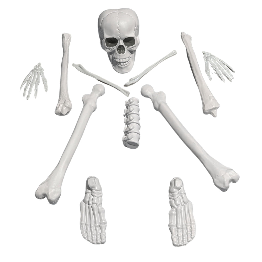 Faux Bag of Bones, 12 Pieces, Halloween by Way To Celebrate