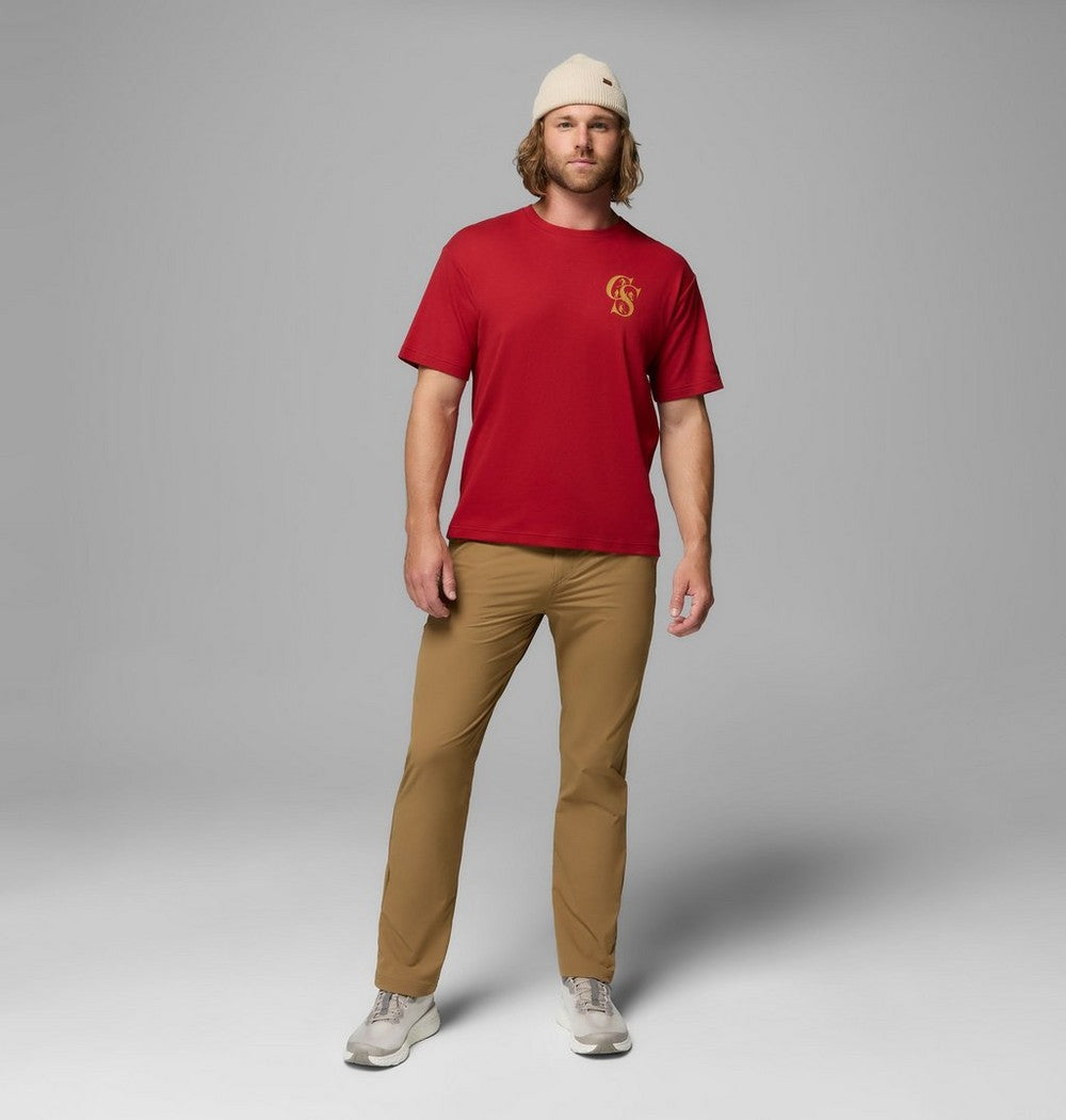 Men's Stretch Chino Pants - Green