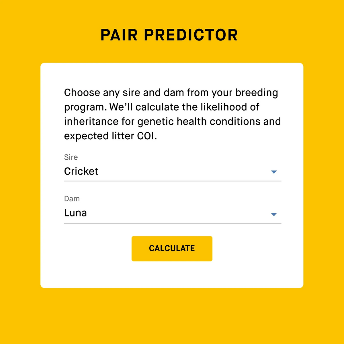 Breeder Dog DNA Test Kit