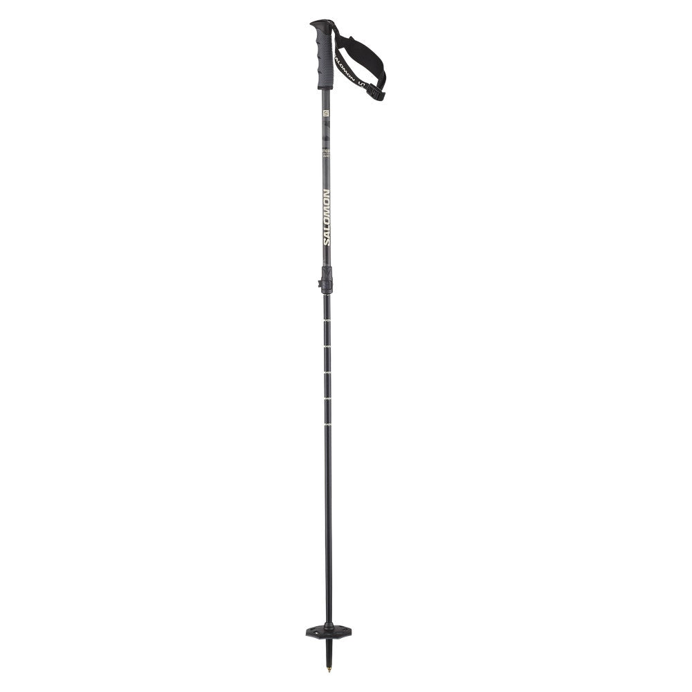 Adjustable Alpine Ski Poles - Gray