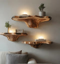 Raw Bark Mushroom Floating Shelf