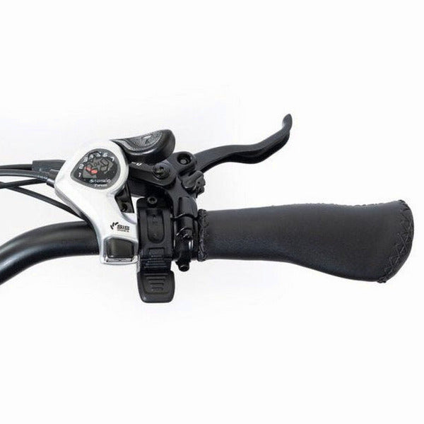 DWMEIGI Silverado 20 Foldable Fat Tire Electric Trike 48V/14AH 750W, 330LBS - MG2301