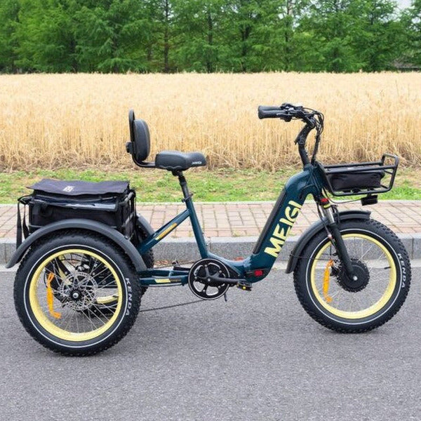 DWMEIGI Silverado 20 Foldable Fat Tire Electric Trike 48V/14AH 750W, 330LBS - MG2301