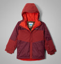 Boys' Waterproof Insulated Ski Jacket - Black