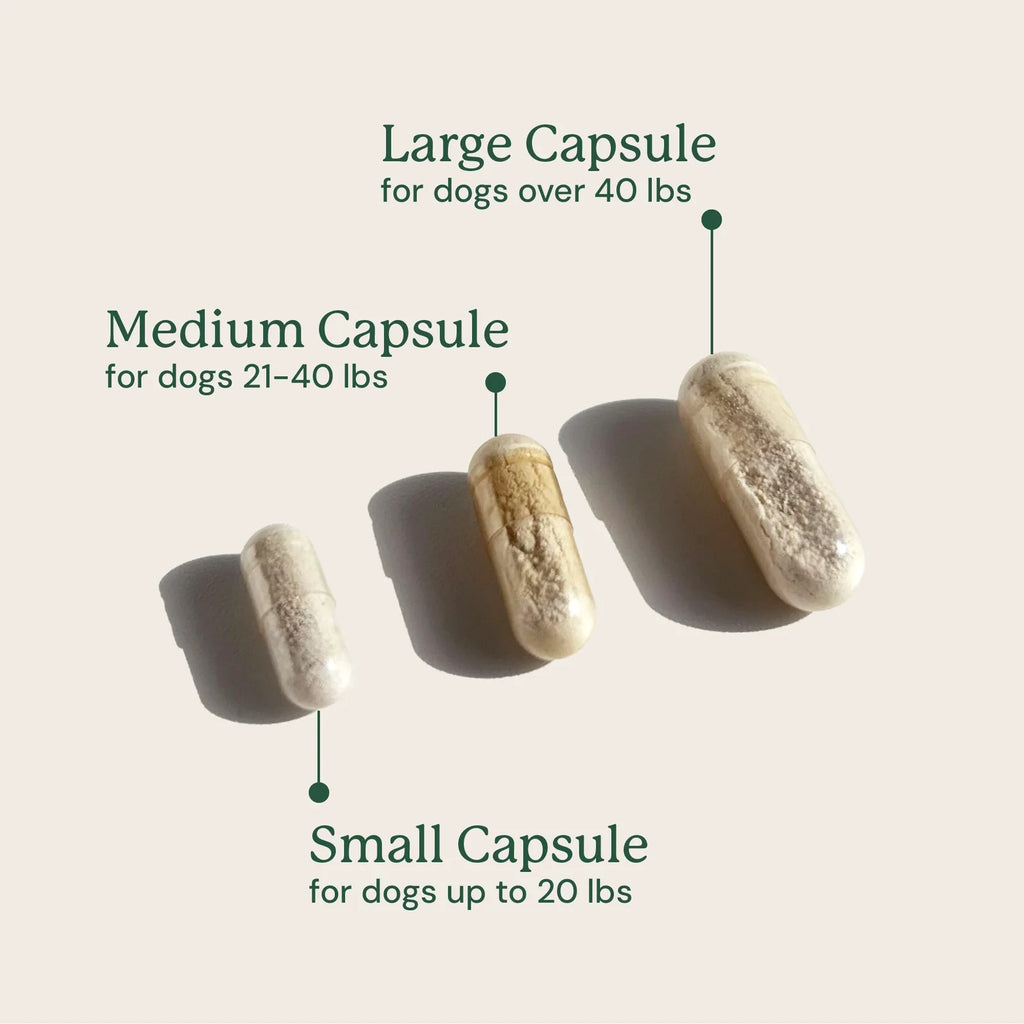 Dog Digestive Support Supplement - Small Dogs
