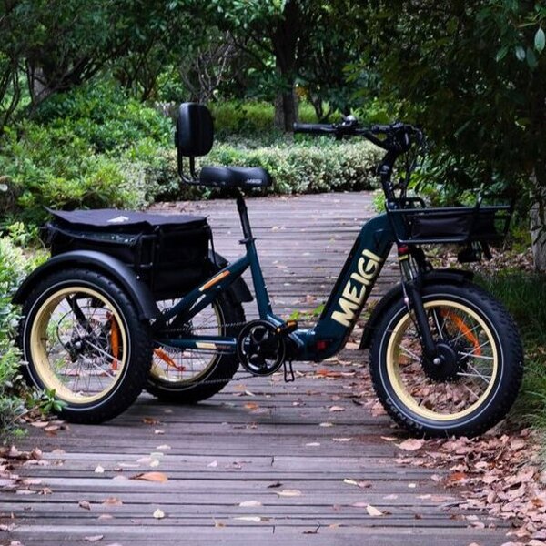 DWMEIGI Silverado 20 Foldable Fat Tire Electric Trike 48V/14AH 750W, 330LBS - MG2301