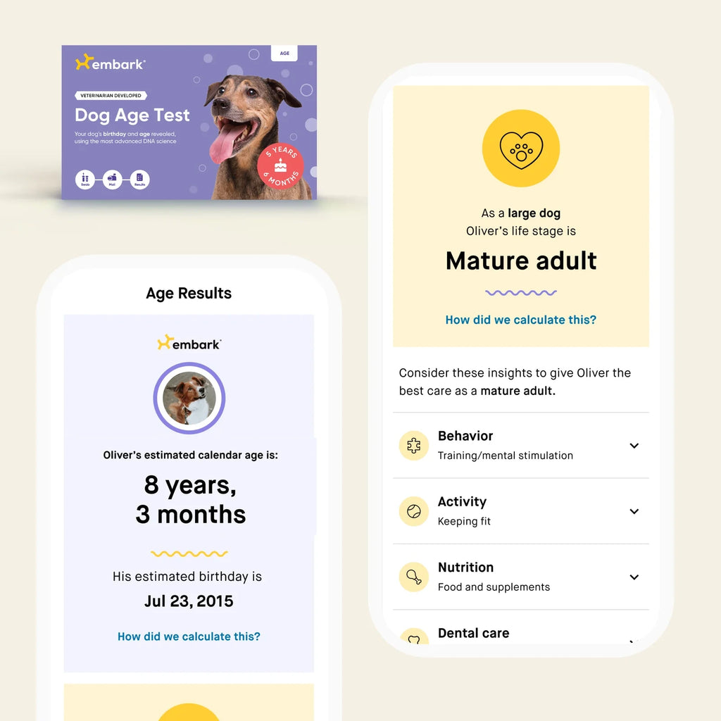 Dog Breed And Age DNA Test Bundle