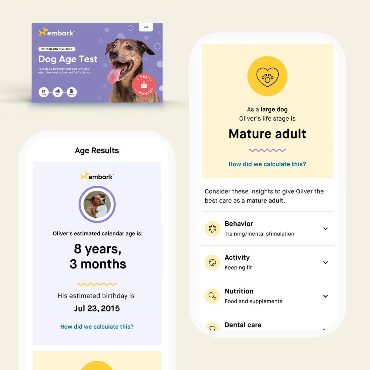 Dog Breed And Age DNA Test Bundle