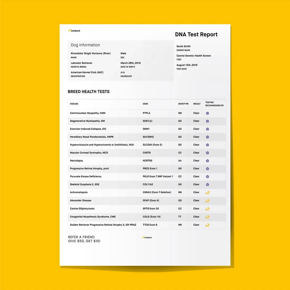Breeder Dog DNA Test Kit