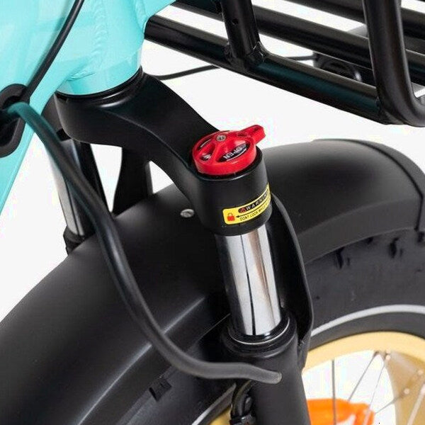 DWMEIGI Silverado 20 Foldable Fat Tire Electric Trike 48V/14AH 750W, 330LBS - MG2301