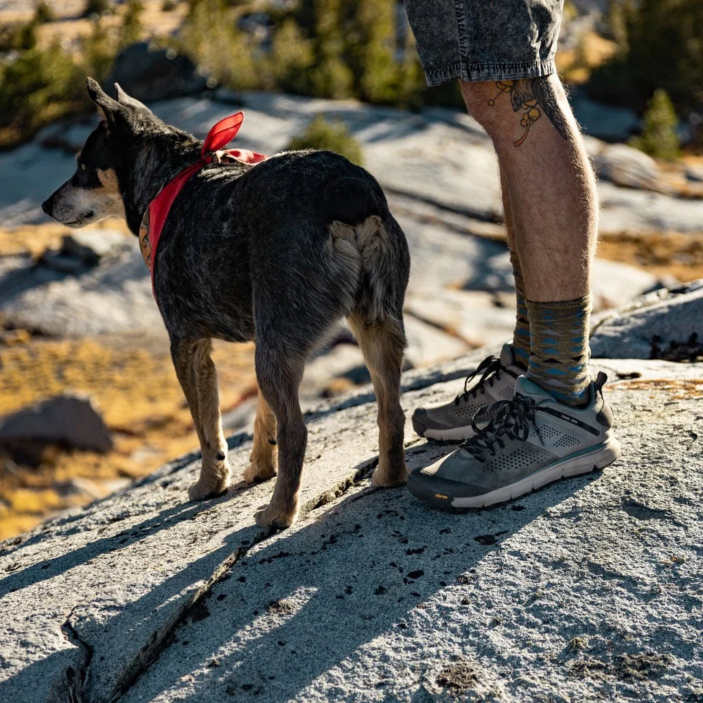 Men's Low Hiking Shoe - Charcoal/Blue