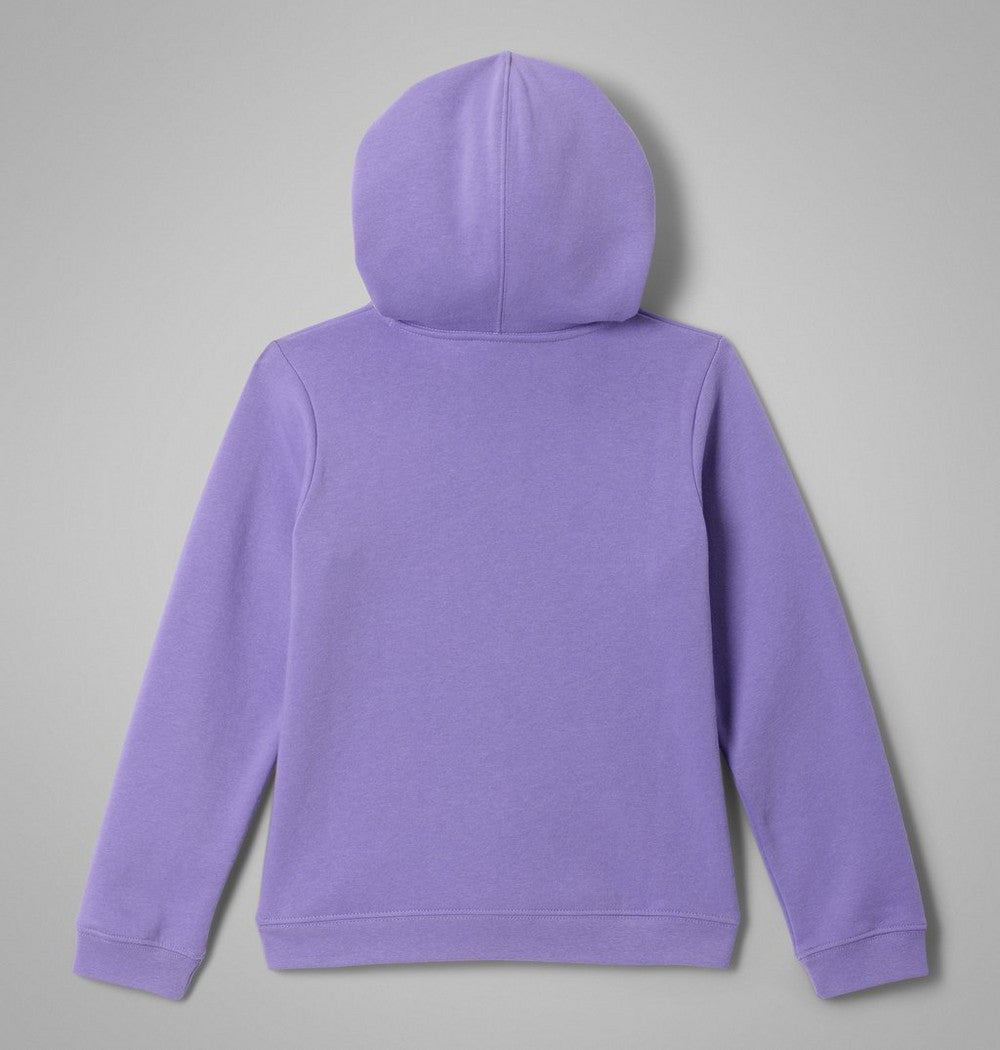 Kids' Fleece Pullover Hoodie - Carbon