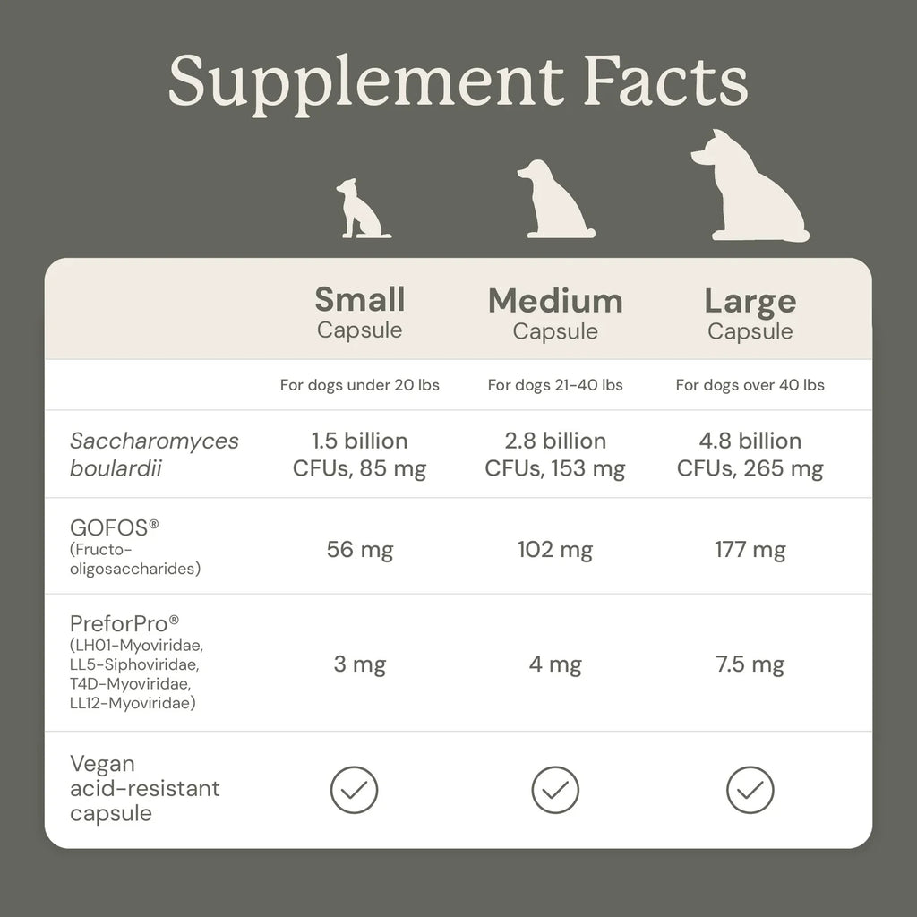Dog Digestive Support Supplement - Small Dogs